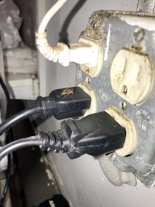 Lahaina Sports Bar shut down over roach infestation